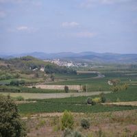 Photo de france - La randonnée des balcons d'Alignan-du-Vent